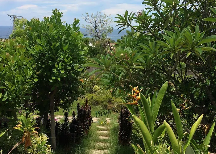 فندق Bali