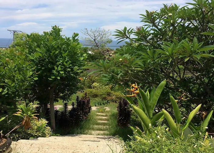 Bali فندق